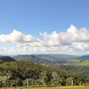 雷明頓國家公園 & 歐萊麗巴士之旅