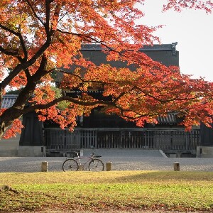 京都御所＆二條城小團步行導覽之旅