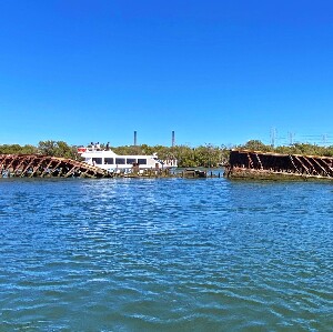 阿德萊德出發| 河港海豚和船舶墓地巡遊