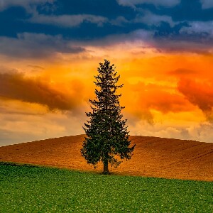 登別・洞爺湖・旭川私人包車一日遊