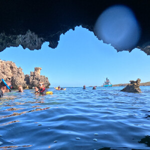 三島淺水灣海洋野生動物浮潛體驗