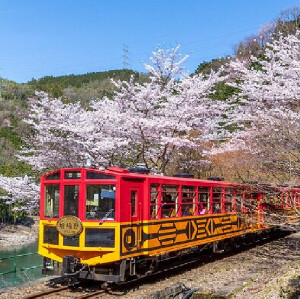 京都嵐山嵯峨野遊覽小火車巴士之旅