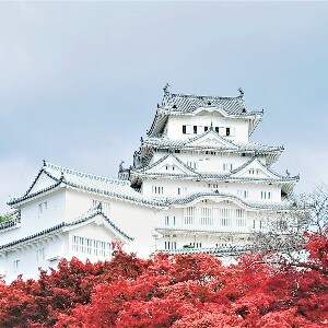 【大阪出發】姫路城 + 有馬溫泉 + 六甲山一日遊