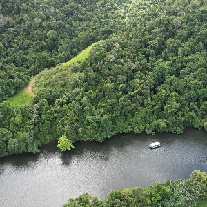 大丹翠野生動物遊船