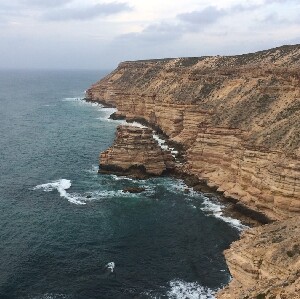 3天2夜 西澳粉紅仙境＆卡爾巴裏＆尖峰石陣之旅