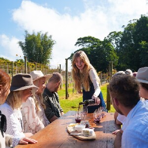 黃金海岸出發| 坦伯林山酒莊一日遊