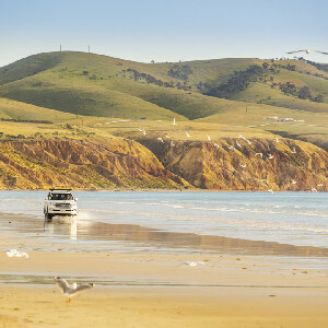 弗勒裡雲半島之旅（含葡萄園 & 越野）