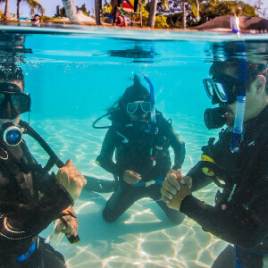 麥克坦島PADI潛水體驗