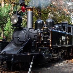 普芬比利鐵路 & 菲利普島1日遊