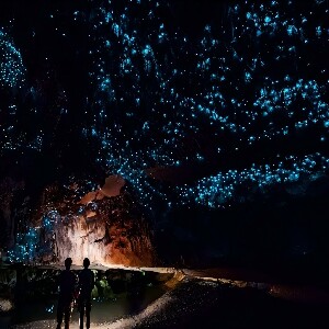 黃金海岸春溪國家公園&藍光螢火蟲夜遊(中文導遊）