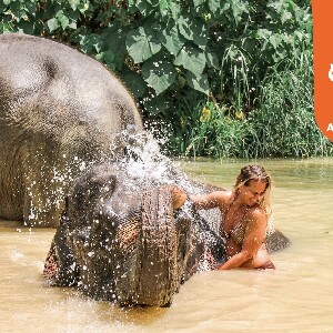 奧南大象保護區體驗