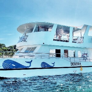 安迪世界遊艇長灘島終極派對巡遊