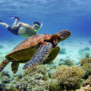 宿霧＆薄荷島熱門景點之旅（4天3夜）