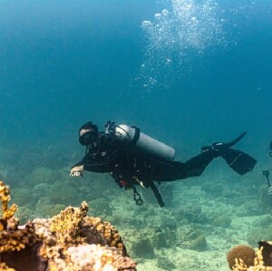 民答那峨錫亞高島 PADI 潛水中心潛水體驗（2次）