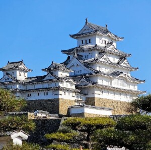 姬路徒步之旅：城堡、花園和藍染體驗