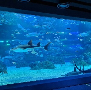 水原光教Aqua Planet水世界折扣門票