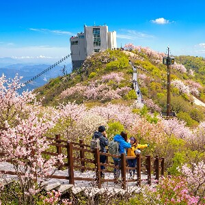 釜山：冰谷纜車與聯合國教科文組織自然探索之旅