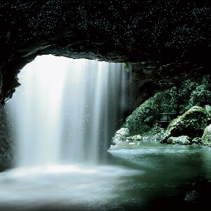 自然橋春溪國家公園螢火蟲夜遊