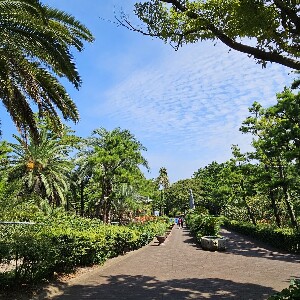 濟州翰林公園門票