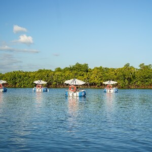 丹娜努斐濟環保電動自駕BBQ遊船