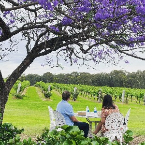 獵人谷卡萊斯酒莊品酒體驗