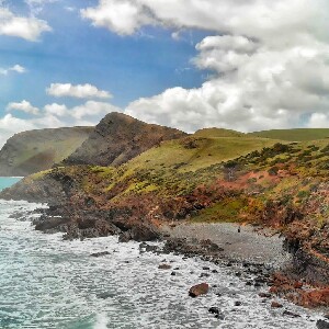 菲爾半島四驅車生態探險一日遊
