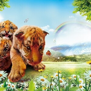 杭州野生動物世界門票