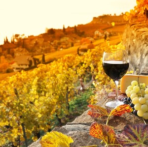 【佛羅倫斯出發】西恩納&奇揚地葡萄酒莊日落之旅（含晚餐）