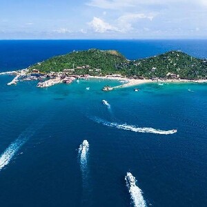 三亞周邊遊 |  陵水分界洲島 猴島公園私人導覽一日遊