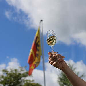 乘坐電動嘟嘟車，體驗日內瓦全景和葡萄園品酒私人之旅