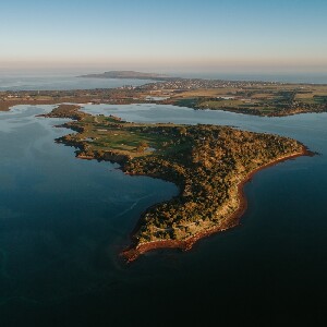 菲利普島企鵝觀賞＆邱吉爾島農莊觀光巴士之旅