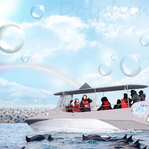 HAMO 噴射快艇海豚觀賞之旅