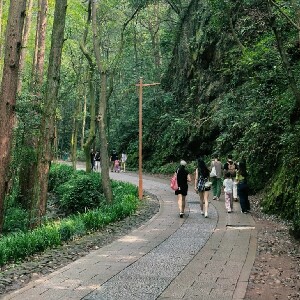 九溪秘境輕徒步 - 茶山溪徑探索體驗