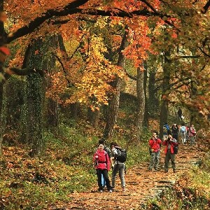 杭州九溪十八澗與十里琅璫茶園全日徒步體驗