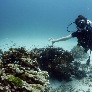 普吉島 PADI 五星潛水中心簡單潛水體驗