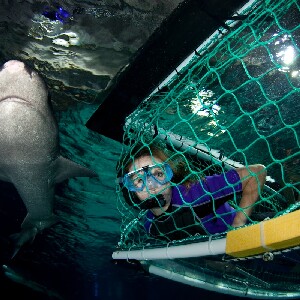 新西蘭奧克蘭凱莉塔頓水族館門票