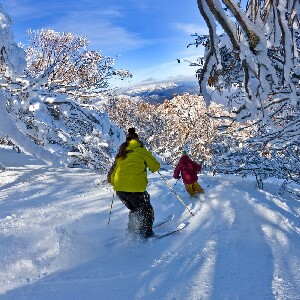 布勒山滑雪一日遊
