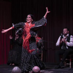 巴塞羅那Palau Dalmases弗拉門戈表演門票