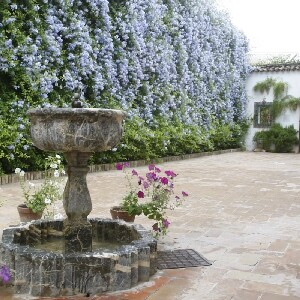 科爾多瓦維亞納宮門票