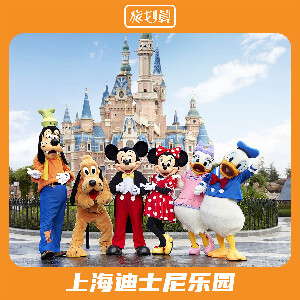 上海迪士尼樂園（2大2小家庭一日票）