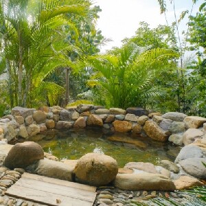 清遠蝴蝶谷花澗民宿園林客房（含雙早+下午茶+花澗湯泉）