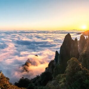 莽山度假區西門（含往返雲梯+景交車票+天台山景區+猴王寨觀猴+莽山博物館）