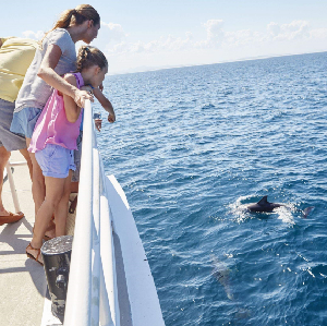 史蒂芬斯港私人一日遊