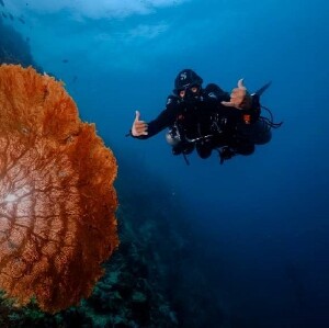 墨寶 PADI 五星潛水中心開放水域潛水員線上課程