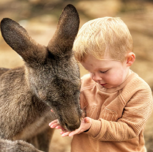 霍巴特出發| 裏士滿 & 波諾朗野生動物保護區半日遊