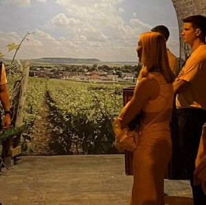 正宗香檳之旅：3個葡萄園、10次品酒和午餐