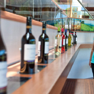 巴羅莎谷與德國村精華遊