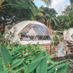 八打雁 Domescape Glamping住宿