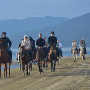 庫沙達瑟騎馬探險之旅，暢玩海灘並享免費飯店接送