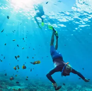 Day Trip from Bangkok to Koh Larn Island and Sanctuary of Truth in Pattaya image